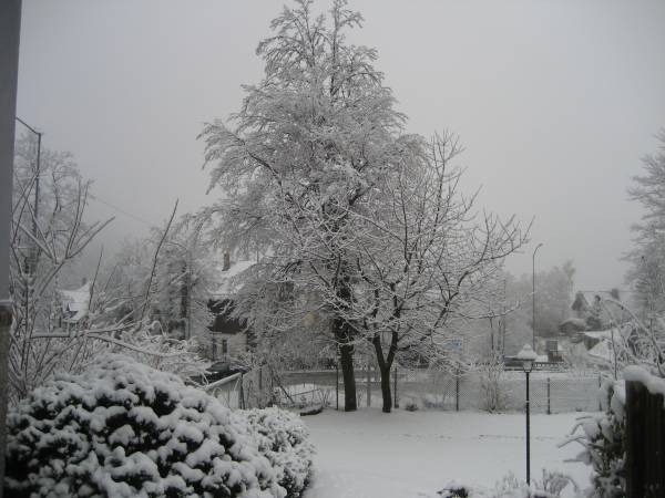 10.12.2024 Willa Park Karpacz Centrum