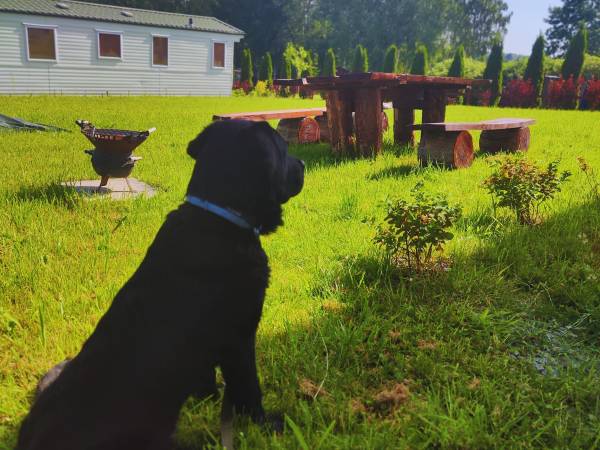 Siedlisko Carownica Family & Wellness