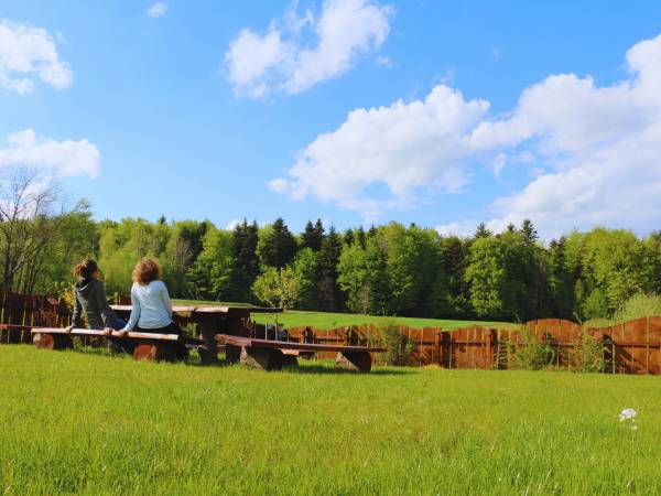 Siedlisko Carownica Family & Wellness