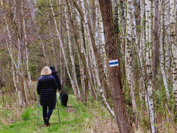 Siedlisko Carownica Family & Wellness