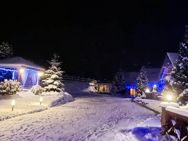 Domki Całoroczne Na Borach