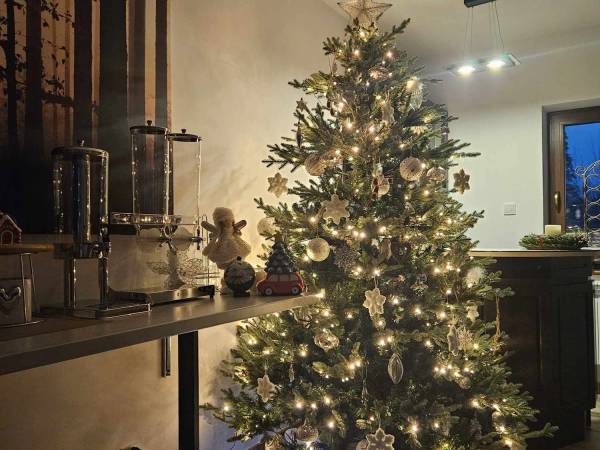 Willa pod górską lawendą