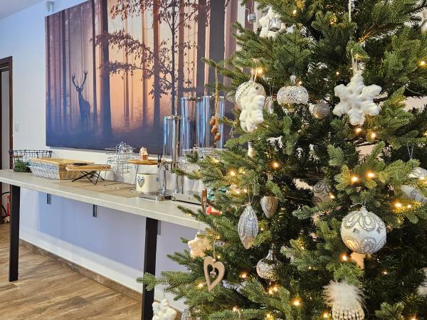 Willa pod górską lawendą