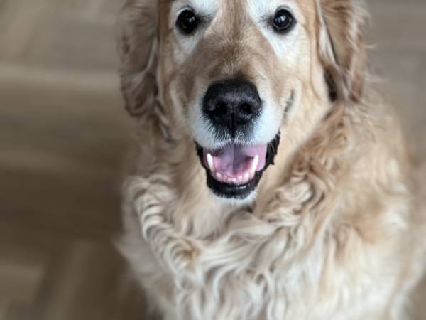 Pensjonat Błękitna Przystań