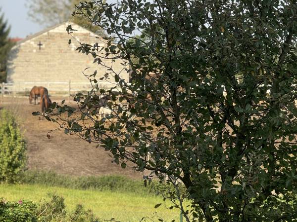 Pensjonat Błękitna Przystań