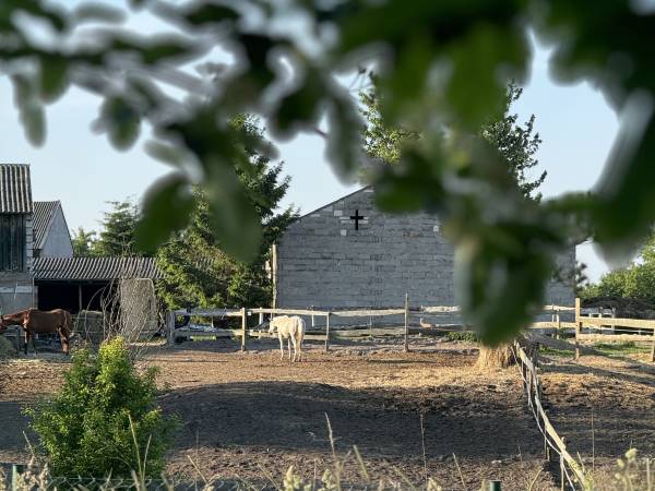 Pensjonat Błękitna Przystań