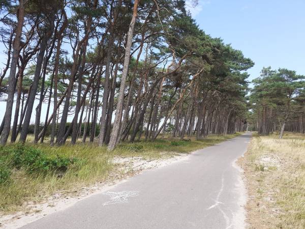 Domki u Piotrusia Pana