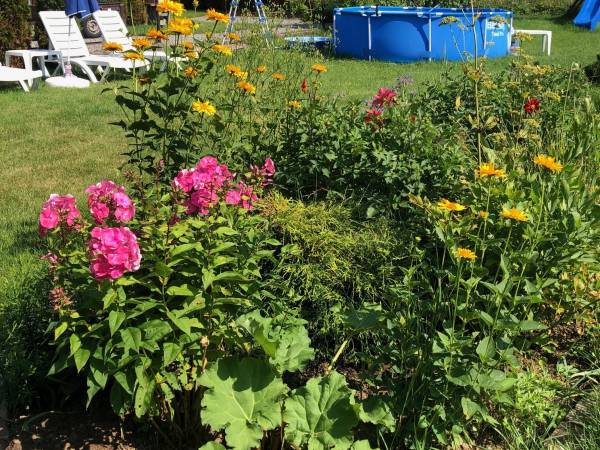 Domek Jodłowa - 2 km do Stoku Narciarskiego / 7 km do Słowacji