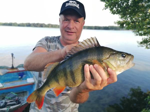 Domki Widokówka Okuninka Jezioro Białe 3 m do wody