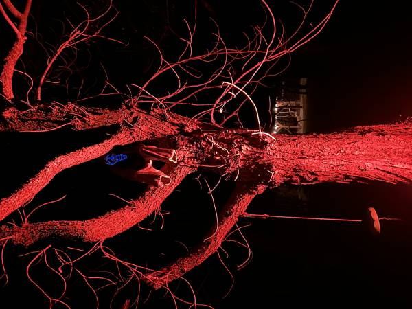 Gajówka - Całoroczne Pokoje i Apartamenty