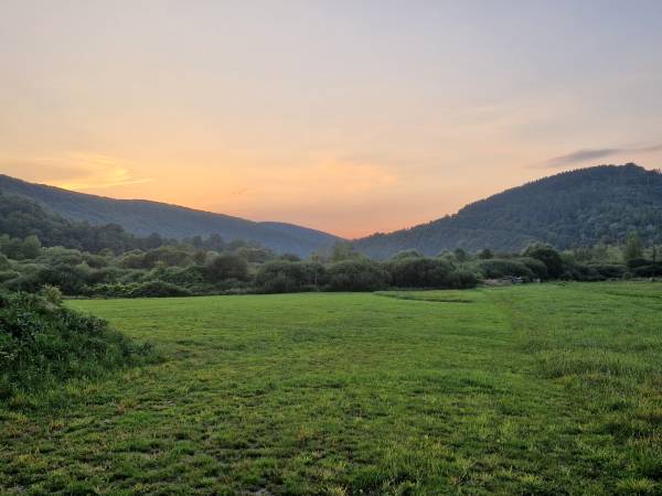 Apartamenty Pan Damazy