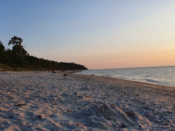 Domki Letniskowe Jarząb