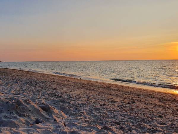Domki Letniskowe Jarząb
