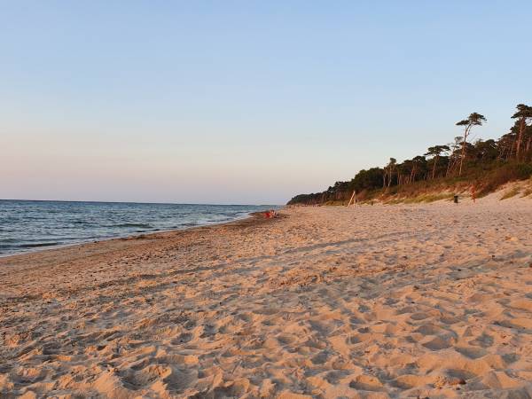 Domki Letniskowe Jarząb