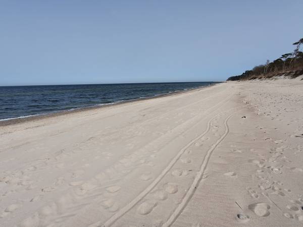 Domki Letniskowe Jarząb