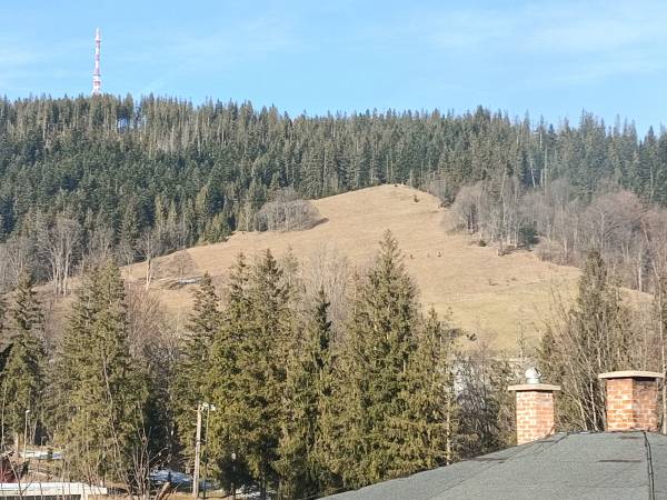 Studio- Widok na Gubałówkę