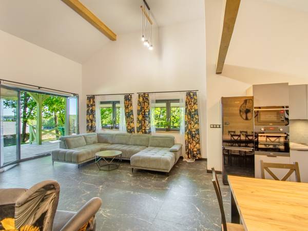 Dom Oskar salon z kominkiem