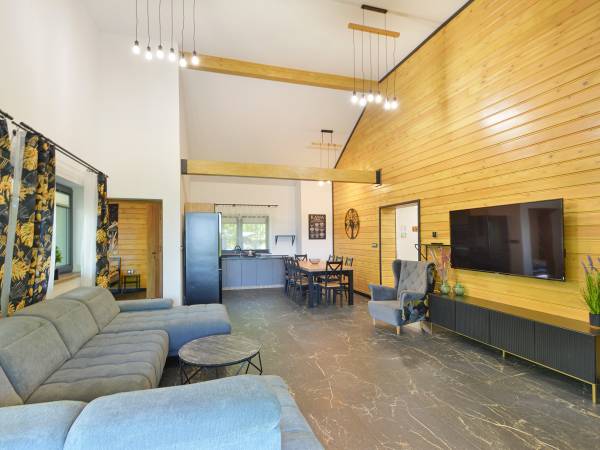 Dom Oskar salon z kominkiem