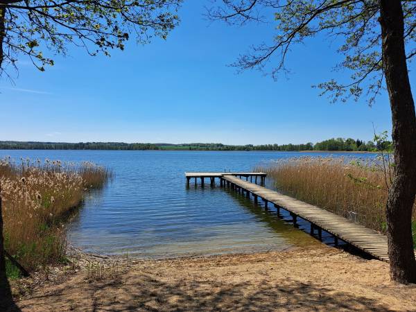 Domki nad jeziorem Silec z własną linią brzegową