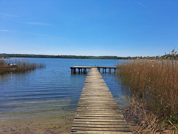Domki nad jeziorem Silec z własną linią brzegową
