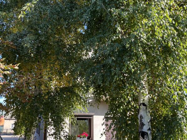 Kempińska Maria Gospodarstwo Agroturystyczne