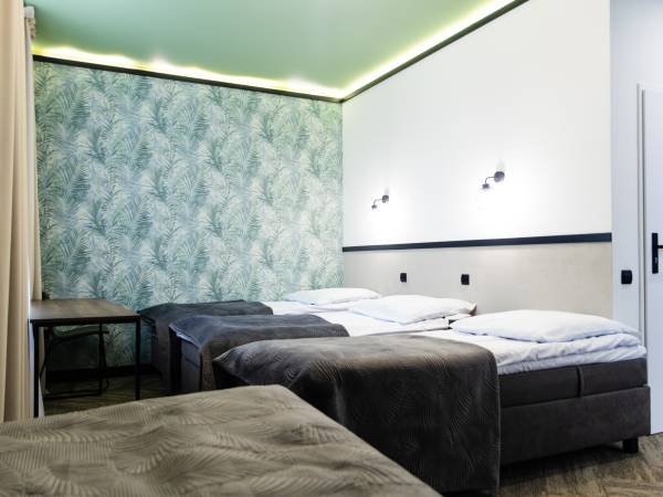 Szkolne Schronisko Młodzieżowe w Łańcucie