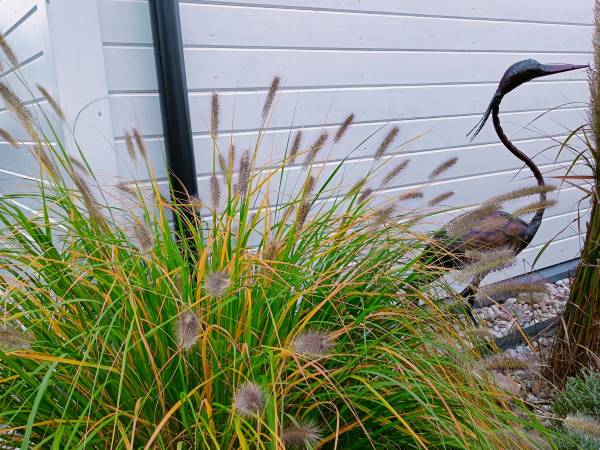 Domki Wypoczynkowe Czapli 9