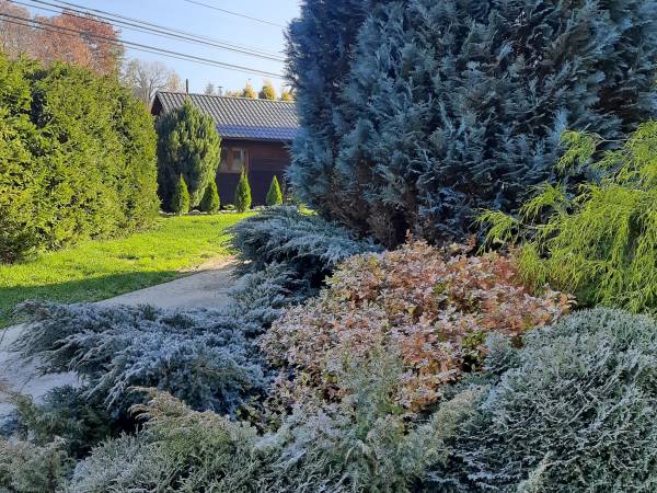 Pod Bocianim Gniazdem