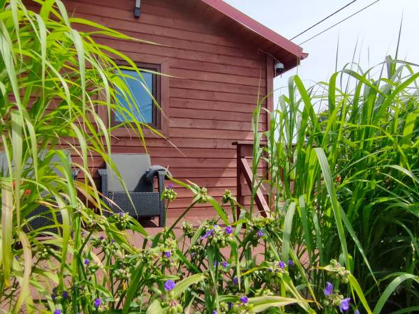 Domki wakacyjne "u Kai" w Stegnie