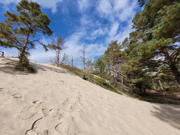 wydmy w drodze na plażę