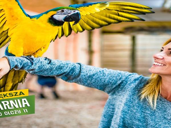 Papugarnia Egzotyczne Zakopane 