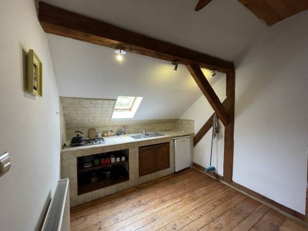 Apartament Zachodni aneks kuchenny 