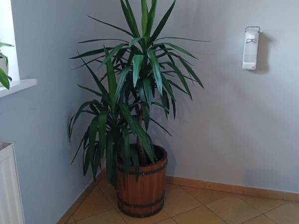 Pensjonat Brama Mazur