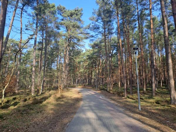 Apartament Basia - droga na plażę w Ustce