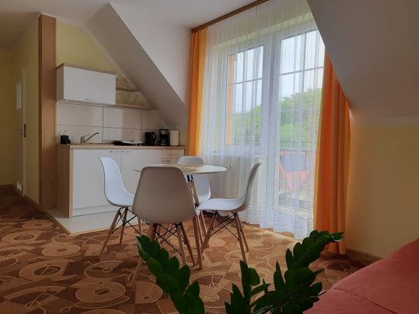 pokój z aneksem kuchennym