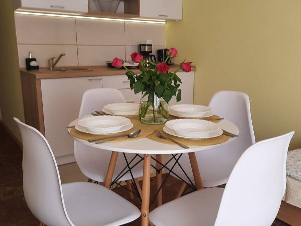 pokj z aneksem kuchennym