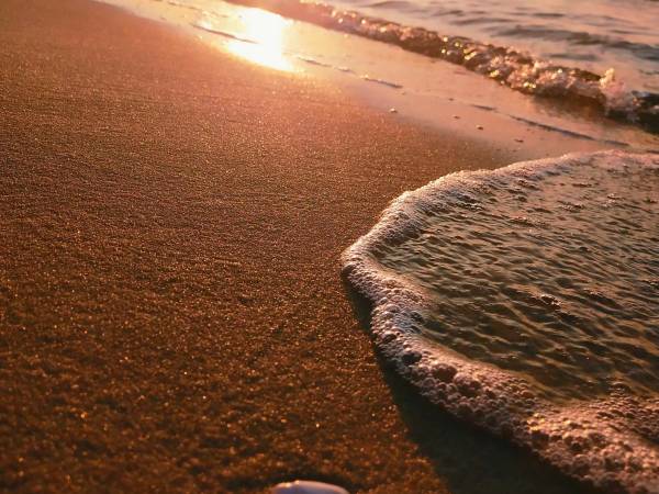 Balticana - Domek Letniskowy