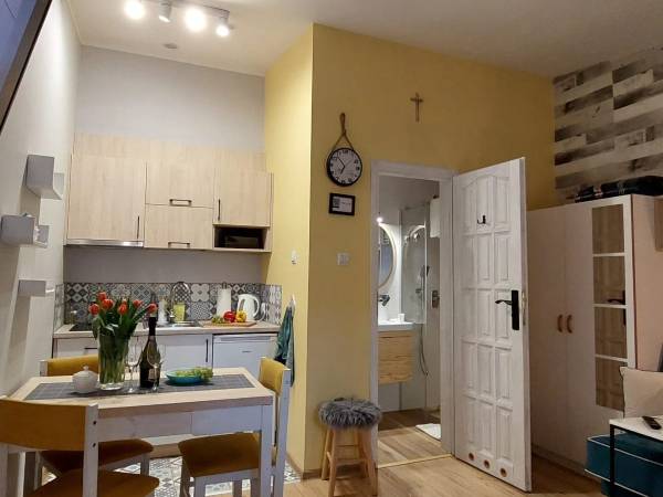 Pokój w apartamencie studio 