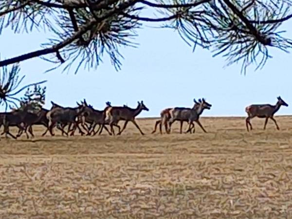 Agroturystyka Pod Złotą Wiechą