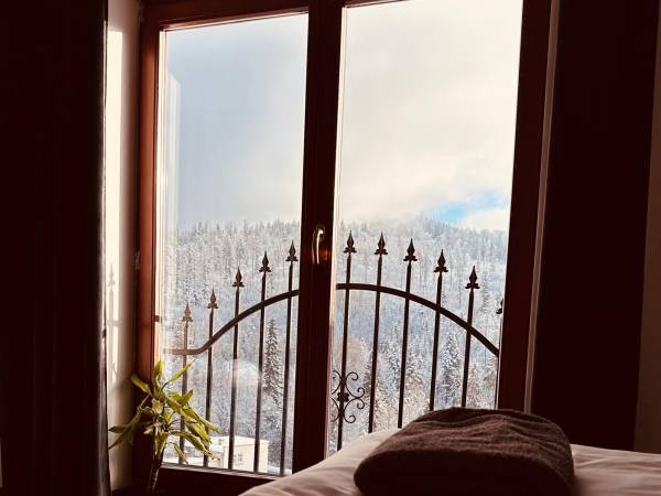 widok z pokoju rodzinnego