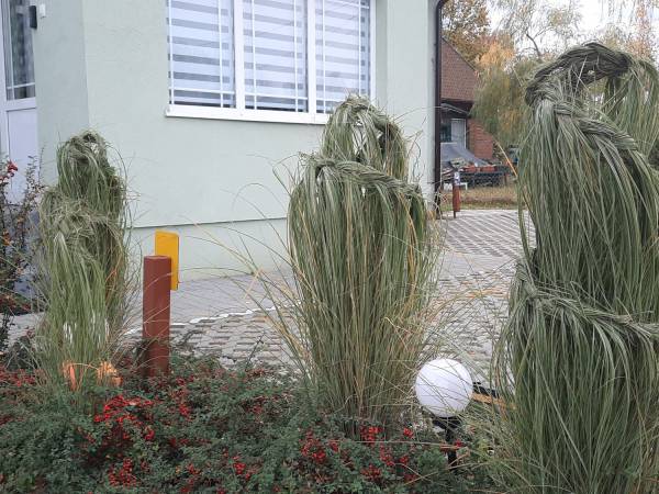 Pokoje i domki u Stasi