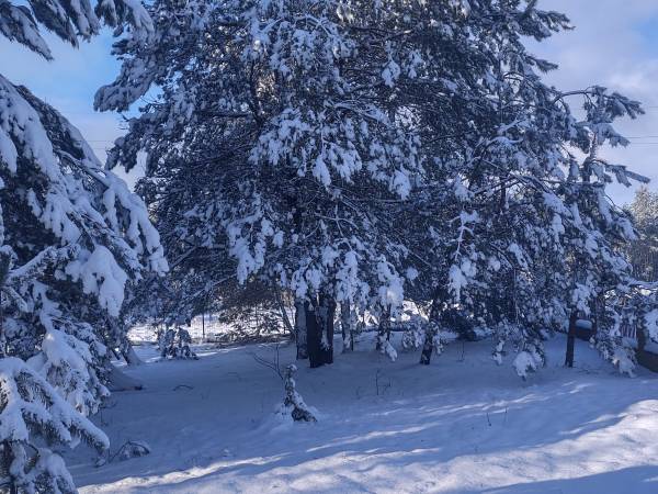 Dom na Kaszubach Swornegacie Drozdowe gniazdo