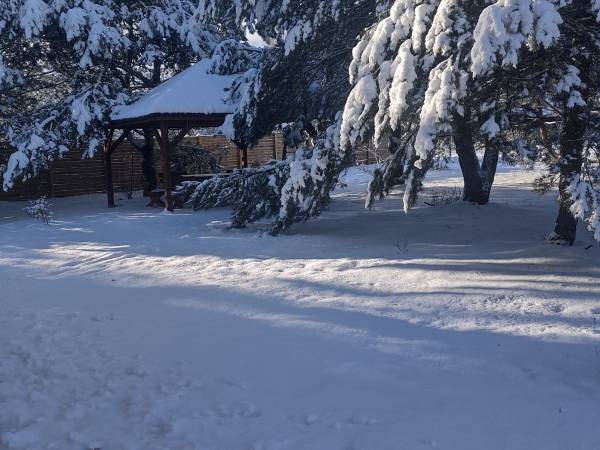 Dom na Kaszubach Swornegacie Drozdowe gniazdo