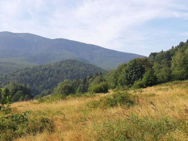 Domek pod Babią Górą