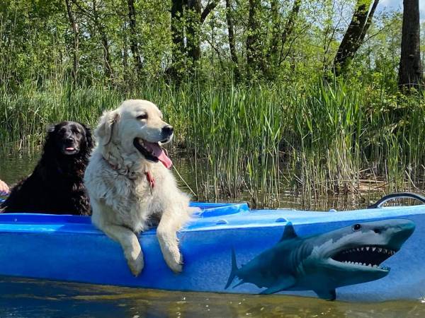 Dom Wczasowy Przystań