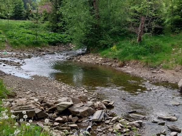 Dom nad Rycerskim Potokiem