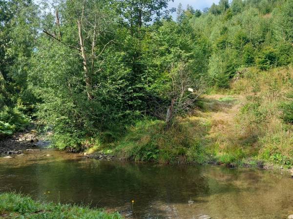 Dom nad Rycerskim Potokiem