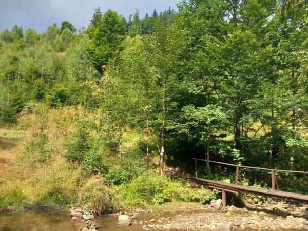 Dom nad Rycerskim Potokiem