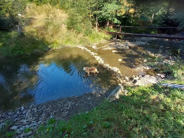 Dom nad Rycerskim Potokiem