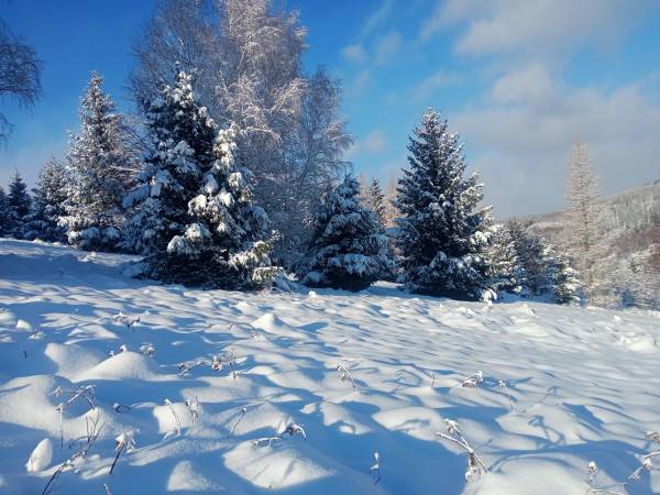 Natura Świeradów-Zdrój